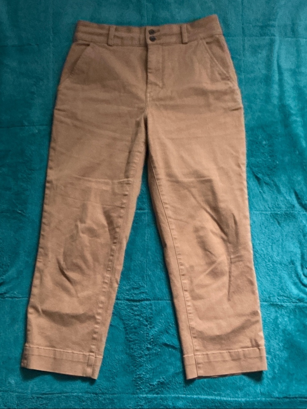 Everlane Khaki Straight Leg Ankle Cropped Chinos Pants